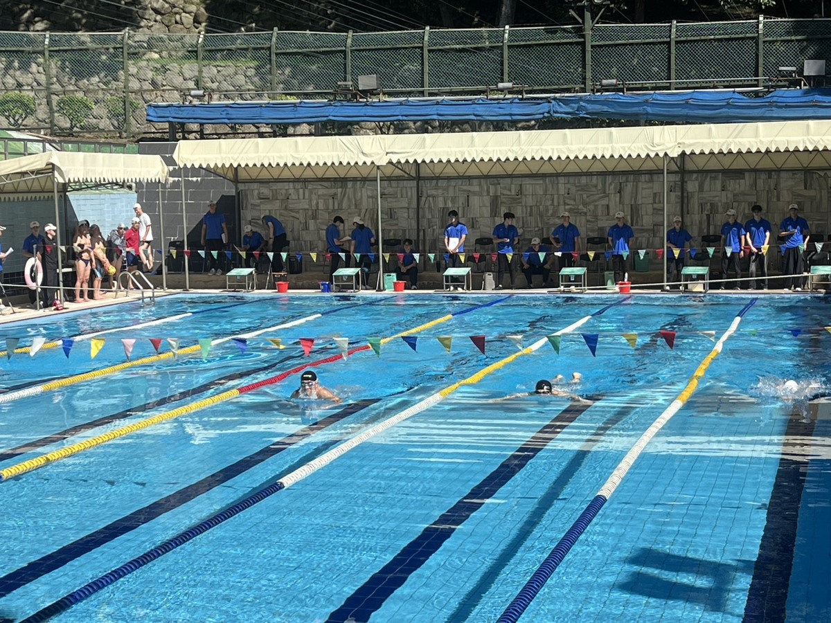 男子100公尺蛙式圖片